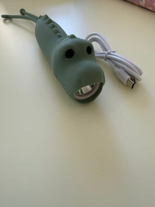 Aufladbare Taschenlampe für Kids - bobbi Family Store