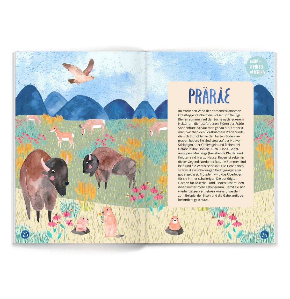 Atlas für Kinder - Mein großer bunter Tieratlas