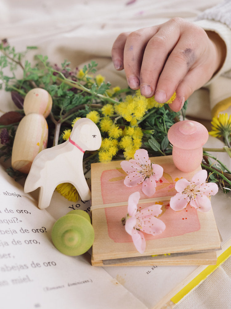 Spring Box - Grapat & Ostheimer - Grapat