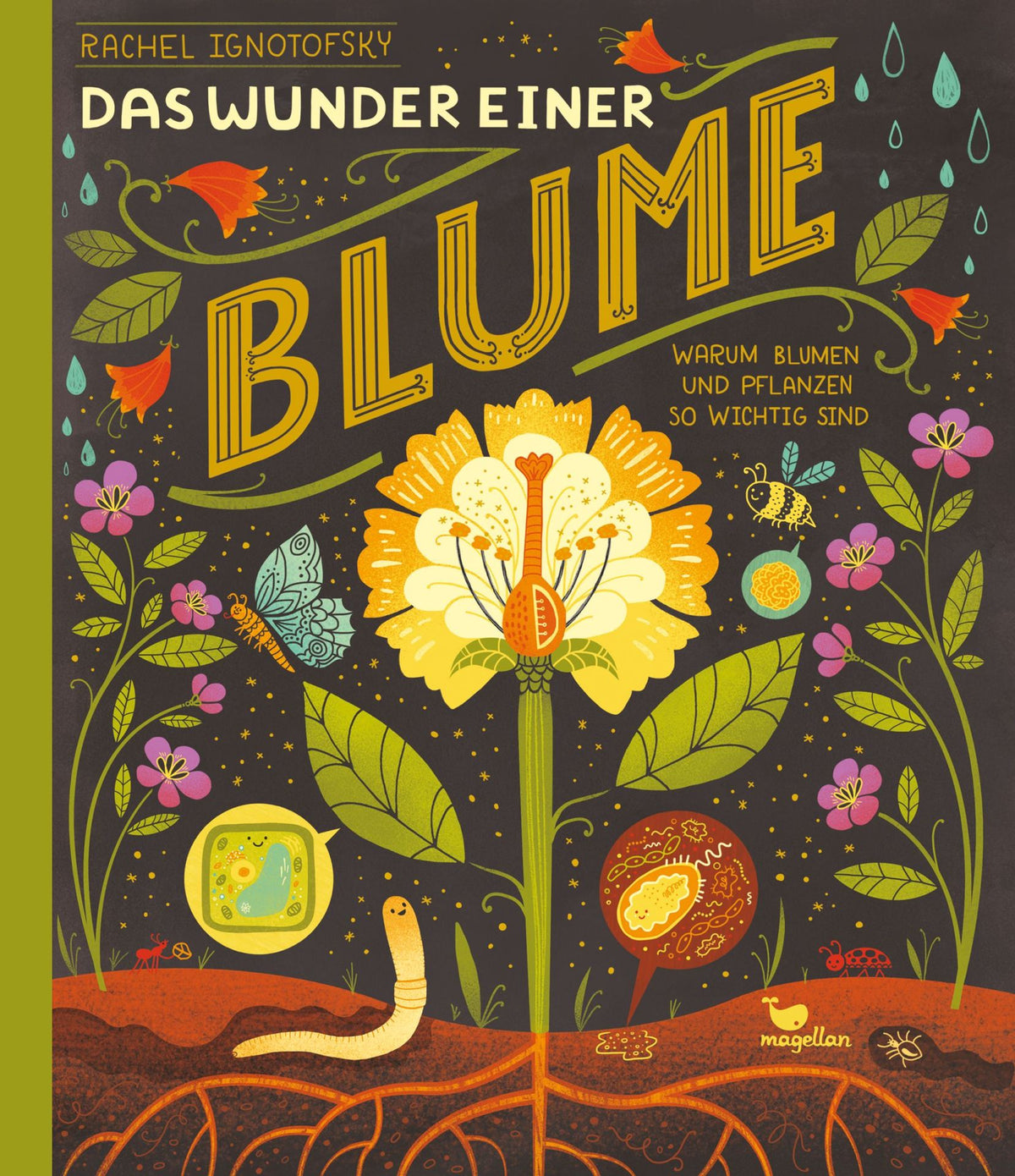 Das Wunder einer Blume - Magellan